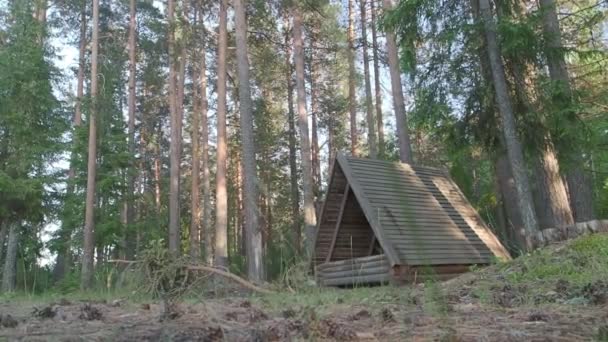 Hut in het bos — Stockvideo