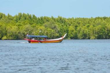 Langkawi Kilim Geoforest Park