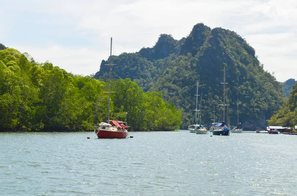 Floresta Mangue Langkawi — Fotografia de Stock