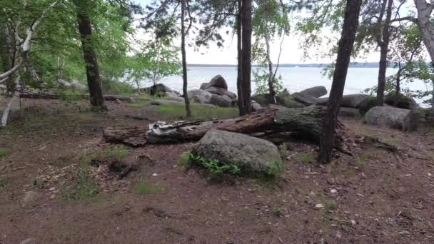 Batang yang jatuh di danau diantara bebatuan dan pohon-pohon — Stok Video