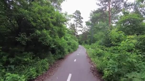 Cyklistická stezka v lese — Stock video