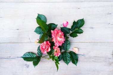 Festival çiçek kompozisyon gri ahşap arka plan üzerinde yükseldi. Üstten görünüm kopya alanı ile. Doğum günü, Anne, Sevgililer, kadın ve düğün günü kavramı.