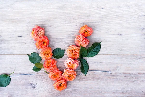 Carta Branca Elegante Das Folhas Flores Rosa Fundo Madeira Cinza — Fotografia de Stock