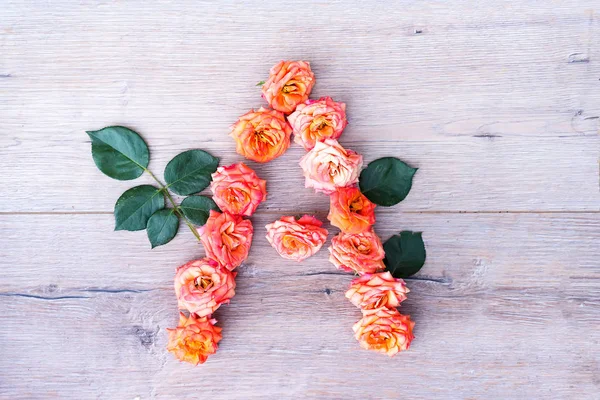 Carta Branca Elegante Das Folhas Flores Rosa Fundo Madeira Cinza — Fotografia de Stock