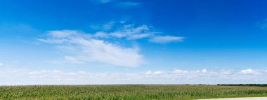 Doğa panoramik manzara: iyi bir günde parlama ile bulut ile güzel ışık mavi gökyüzü ile karada mısır tarlası.
