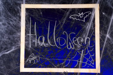 Cadılar Bayramı, dekorasyon ve korku kavramı - yapay örümcek ağı üzerinde siyah mavi halojen arka plan dekorasyon