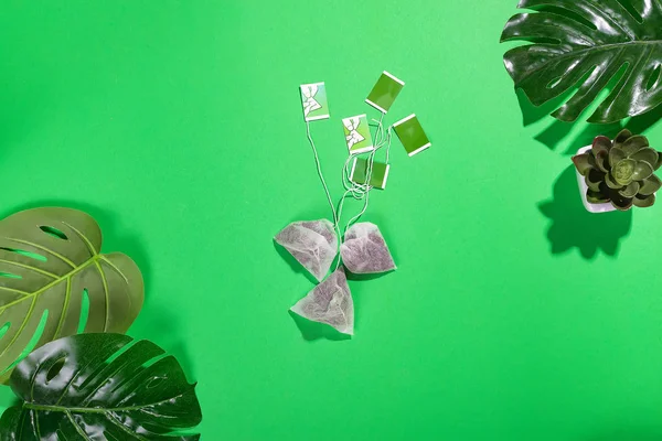 Tea Bags with green label and green tropical leaf for Brewing a Healthy and Relaxing Drink on green background, flat lay with copy space