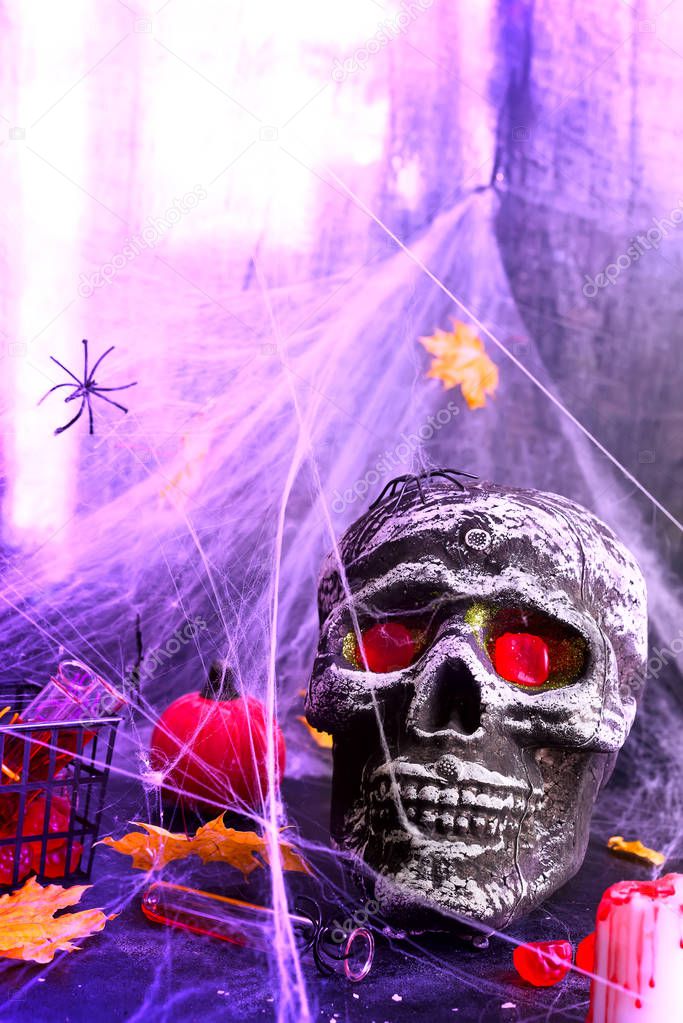 Still life with human skull and autumn leaves, spider on black violet Panton halogen background, copy space