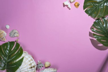 deniz kabuklarını ve tropikal yaprak pastel menekşe arka plan üzerinde 