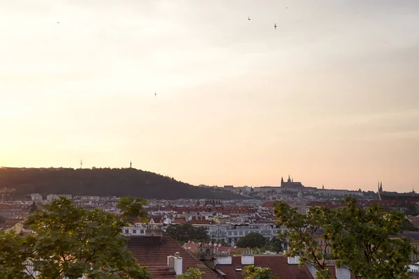 Vista Panoramica Dei Tetti Rossi Tradizionali Nel Centro Storico Praga — Foto Stock