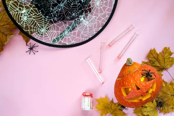 Chapeau Sorcières Halloween Avec Citrouille Araignées Seringues Sur Fond Rose — Photo