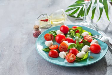 Olgun kiraz domates ile lezzetli caprese salatası ve mini mozzarella peynir topları taze fesleğen ile mavi plaka ve gri kayrak arka plan üzerinde bırakır. İtalyan sağlıklı gıda kavramı