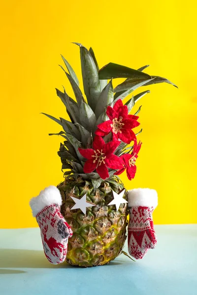 Pineapple christmas tree with winter mittens and Christmas flowers on green leaves on duotone background. Space for text — Stock Photo, Image