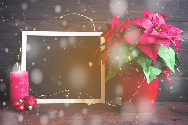 Vánoční Zátiší s Poinsettie, gaultheria a ozdoby na dřevěný stůl. Veselé Vánoce, křída deska s kopií prostor — Stock fotografie