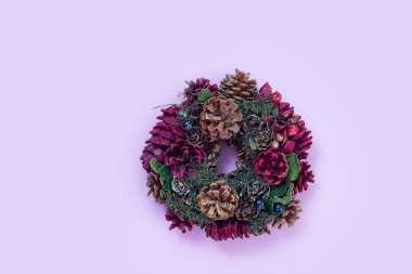 Kış ve Noel çelenk karla kaplı ladin çam köknar, Sedir, pembe arka plan izole ökse otu, çam kozalakları.