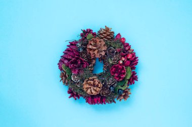 Kış ve Noel çelenk karla kaplı ladin çam köknar, sedir üzerinde mavi arka plan izole ökse otu, çam kozalakları. Üstten görünüm