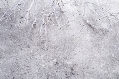 taş zemin üzerine beyaz ağaç dalı kuru, düz kopya alanı ile yatıyordu