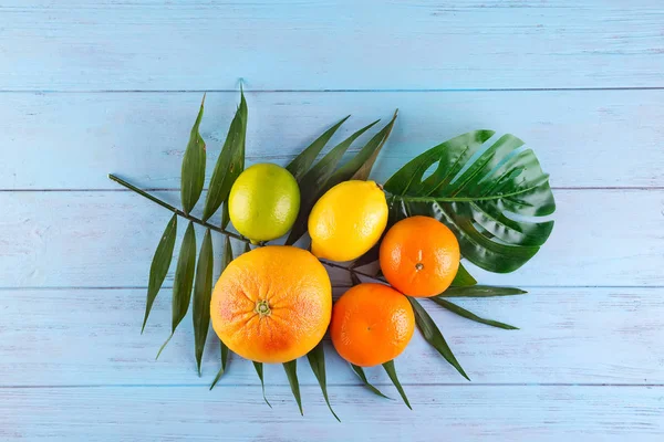 Citrus Frukterna Apelsin Citron Grapefrukt Mandarin Lime Palmblad Blå Trä — Stockfoto