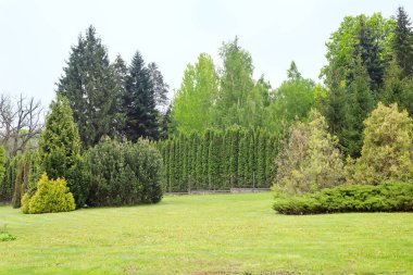 güzel yeşil park Theophania.Manzara. Popüler turistik dönüm noktası. Kiev şehirde büyük doğal Feofaniya bahçe