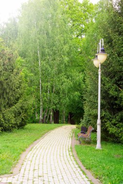 Dinlenmek için bir çok yer ile ormanda yol .