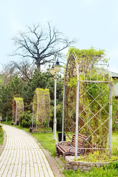 Parkta dinlenmek için bir sürü yer ile yol. Sonbahar zamanı