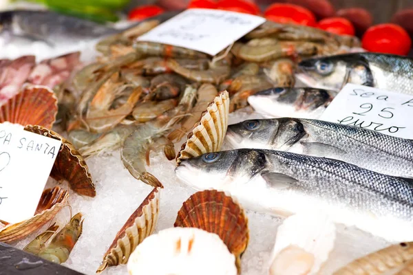 新鮮な魚、イカ、イカ、エビを魚のカフェで販売しています。カウンターの氷の上の魚介類。健康食品. — ストック写真
