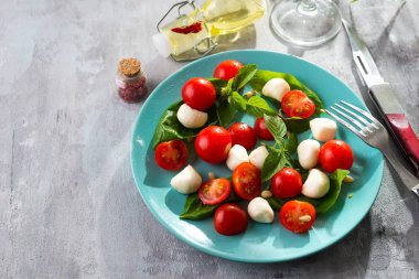 Kırmızı domates, taze organik mozzarella ve fesleğen taş masada İtalyan Caprese salatası, Üst görünüm