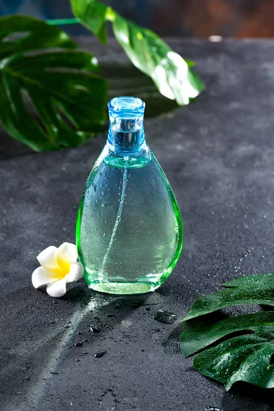 Perfumy damskie w pięknej butelce z kwiatem i liści na czarnym betonowym tle z jasnym światłem słonecznym — Zdjęcie stockowe