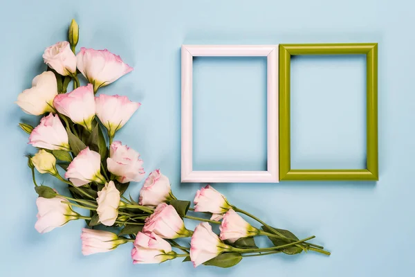 Empty color frames and flowers eustoma on blue paper background with copy space. Flat lay. Love concept