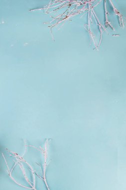 Noel arkaplanı beyaz karlı ağaç dalı ile fotokopi alanı, düz yatıyordu