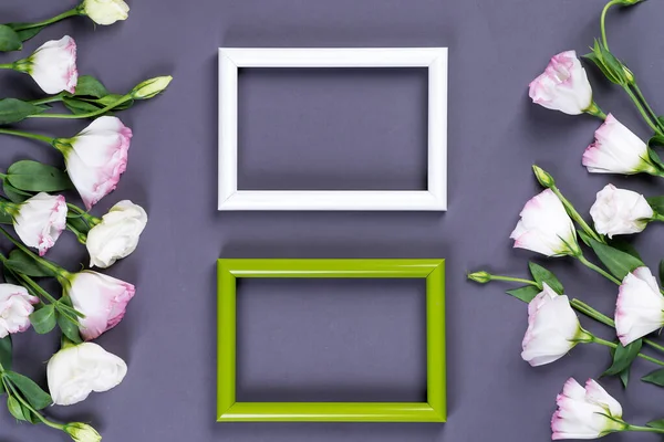 Empty two color frames and flowers eustoma as border on gray paper background with copy space. Holiday concept