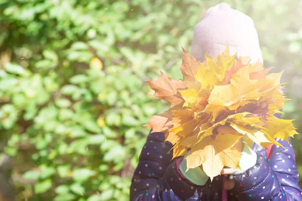 Holčička s javorovými listy zakrývající její tvář na pozadí zelených stromů — Stock fotografie