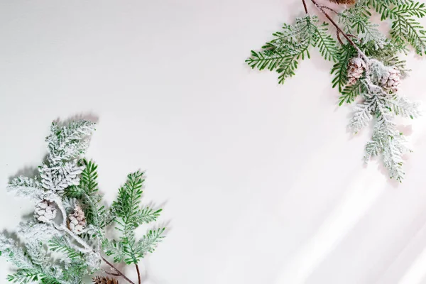 Ramos de abeto na neve com cones e rayson luz solar um fundo branco. Fundo de Natal. Espaço para SMS. Vista superior . — Fotografia de Stock