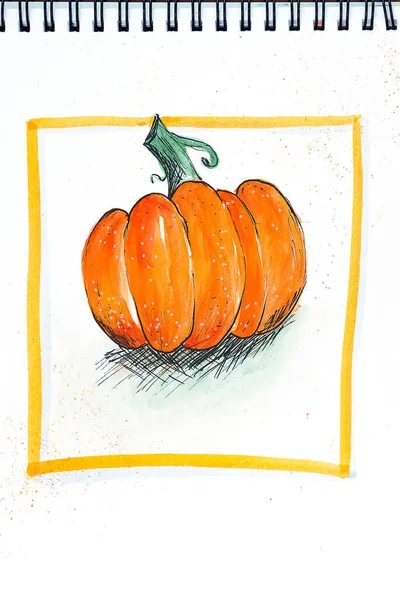 Hand drawing yellow pumpkin on white paper, watercolor illustration . — Stock Photo, Image