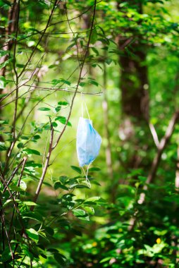 Güneşli yaz gününde yeşil parkın ya da ormanın bulanık arka planında tıbbi maske bir çalılıkta asılı duruyor..