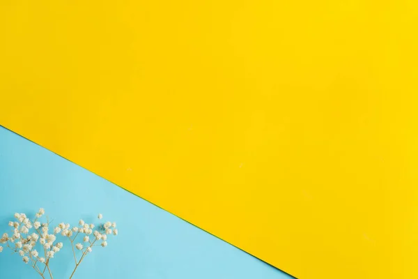 Fondo de papelería diagonal Duotone para su creatividad con ramita de flores secas en colores azul y amarillo . — Foto de Stock