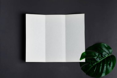 Gölgeler ve yaprak ile siyah arkaplan üzerinde en az üç katlı broşür şürü
