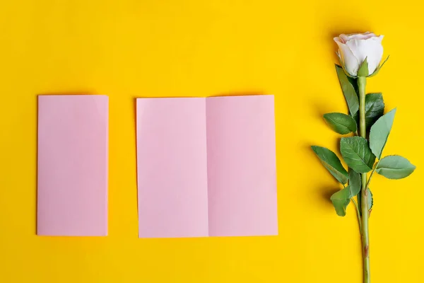 折叠双折商务粉红卡片与美丽的玫瑰花的模型 — 图库照片