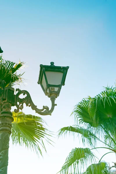 Régi évjárat utcai lámpa pálmafákkal. — Stock Fotó