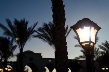 Geceleri palmiye ağaçlarıyla aydınlatılmış sokak lambası.