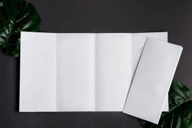 Metinler için boş beyaz kartpostallar, yeşil tropikal palmiye yaprağı ve kopyalama alanı olan siyah renkli arka planda mesajlar. Üst Manzara. Tebrik kartı..