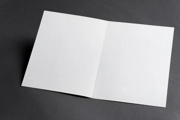 Brochure di carta modello bifold Mockup su sfondo nero. — Foto Stock