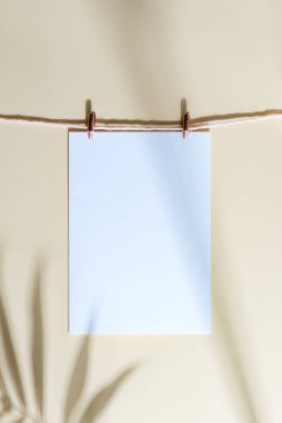 Mandallara asılan ve tropikal bitki yaprağının gölgeleriyle bej bir zeminde ipe asılan sahte kağıt kartından yaratıcı bir zemin. Tebrik kartı.