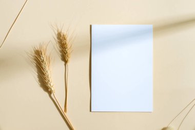 Koyu tropikal yapraklı yaratıcı zemin ve mandallı sahte kağıt kartlar ve pastel bej arka planda asılı bir ipe asılı, kopyalama alanı. Tebrik kartı.