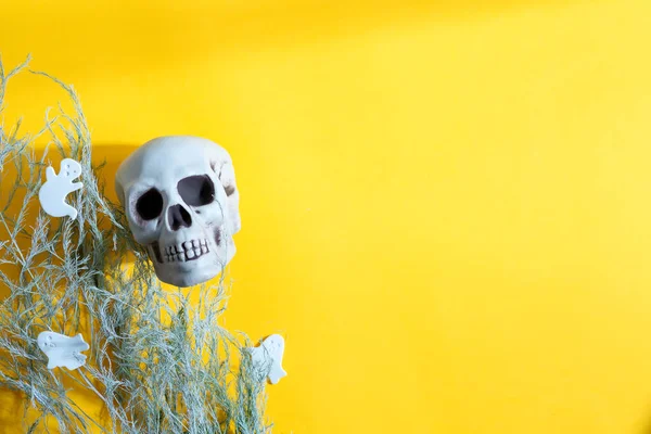 Decoratieve Halloween Feest Ansichtkaart Met Menselijke Schedel Droge Planten Papier — Stockfoto