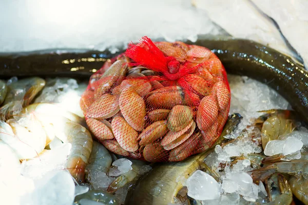 Cierre Mostrador Del Mercado Mariscos Con Pescado Crudo Crudo Natural — Foto de Stock