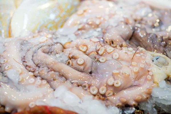 Meeresfrüchte Natürlichen Hintergrund Von Großen Frisch Gefangenen Rohen Tintenfisch Auf — Stockfoto