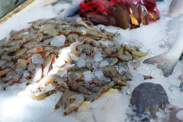 天然の新鮮な魚介類が異なる魚市場の氷のカウンタートップ 氷の背景に生の調理されていないエビ ムール貝 コピースペース 海の珍味 — ストック写真