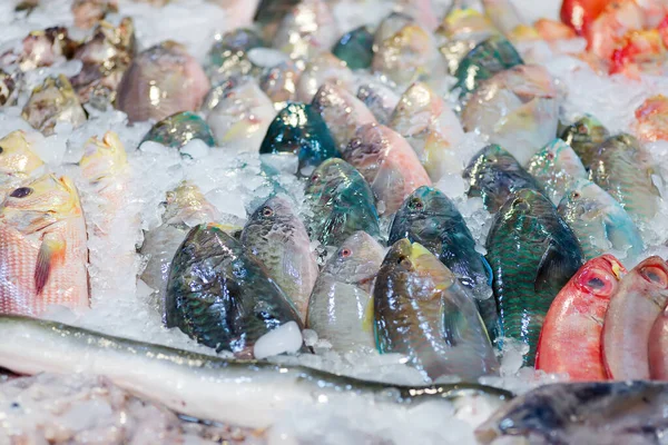 天然の新鮮な魚介類の品揃えから魚介類のクローズアップ氷の市場カウンター コピースペースで未調理の海魚の並べ替え 海の珍味 — ストック写真