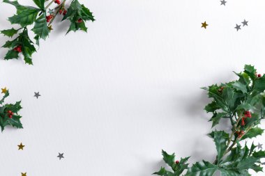 Noel 'in şenlikli köşesi süslenmiş yeşil kutsal yapraklar ve yıldız konfetileri yumuşak gölgeli, kopya alanı olan beyaz bir arka planda. Üst Manzara. Tebrik kartı..